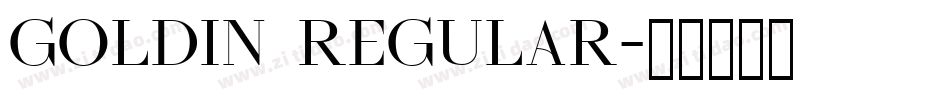 Goldin Regular字体转换